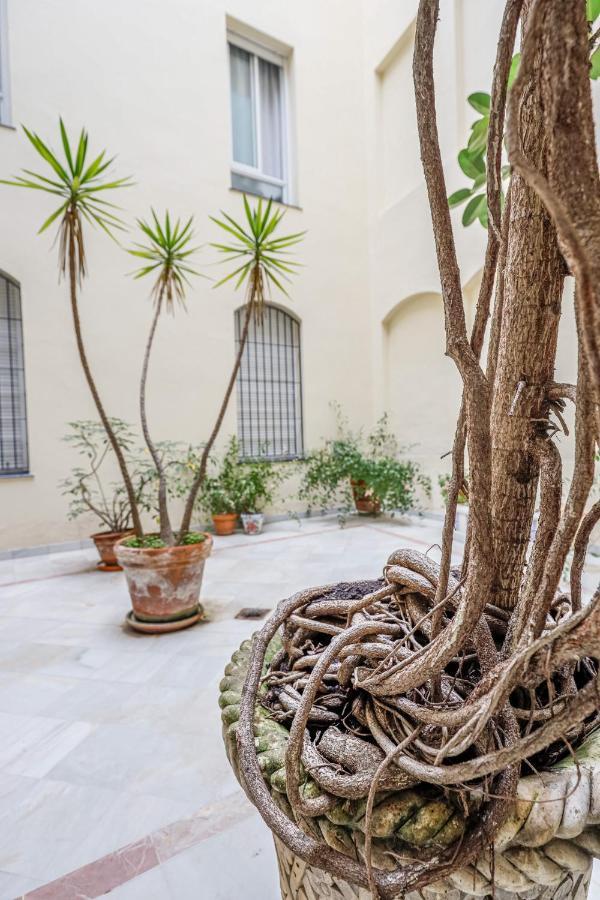 Chic&Luminoso-Wifiac/Elegant Apt In Salvador 2 Br Seville Ngoại thất bức ảnh